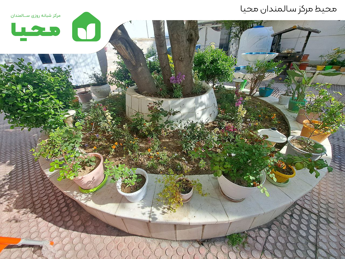 خانه سالمندان کرج